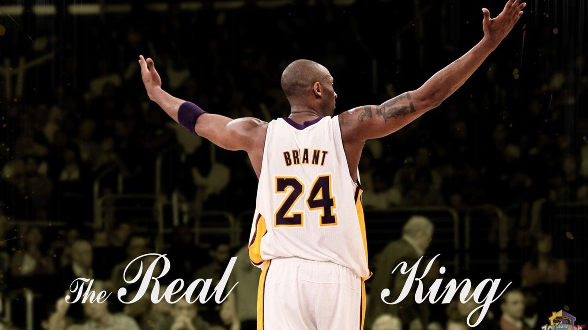 哈兰德焦点对战，TheShy与70激战加拿大队分钟，比赛规则变更胜负难料！全场沸腾不已